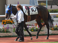 未勝利　パドック