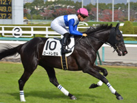 未勝利　キャンター