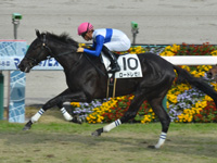 未勝利　ゴール前