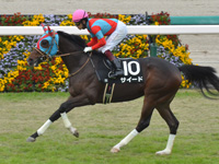 秋明菊賞（1勝クラス）　キャンター