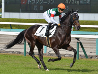 新馬　キャンター