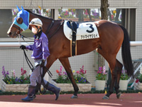 未勝利　パドック