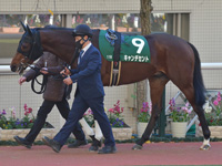 第8回 京都2歳ステークス（ＧIII）　パドック