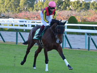 第8回 京都2歳ステークス（ＧIII）　キャンター