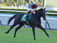 第8回 京都2歳ステークス（ＧIII）　キャンター