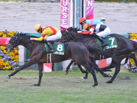 第8回 京都2歳ステークス（ＧIII）　ゴール前（中3着）