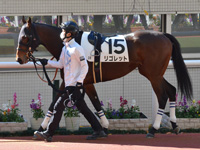 未勝利　パドック