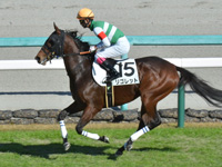 未勝利　キャンター