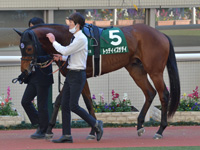 第8回 京都2歳ステークス（ＧIII）　パドック