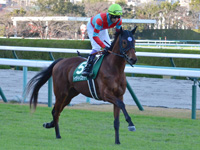 第8回 京都2歳ステークス（ＧIII）　キャンター