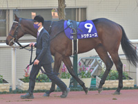 第73回 朝日杯フューチュリティＳ（ＧＩ）　パドック