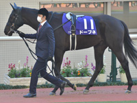 第73回 朝日杯フューチュリティＳ（ＧＩ）　パドック
