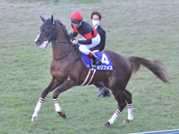 第73回 朝日杯フューチュリティＳ（ＧＩ）　キャンター