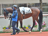未勝利　パドック