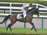 未勝利　キャンター