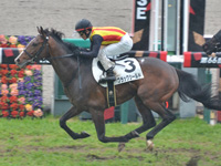 未勝利　ゴール前