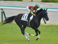 未勝利　キャンター