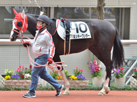 未勝利　パドック