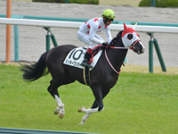 未勝利　キャンター