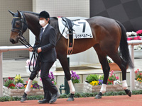 1勝クラス　パドック