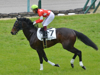 1勝クラス　キャンター