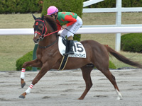 未勝利　本馬場入場