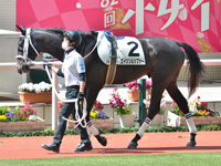 未勝利　パドック