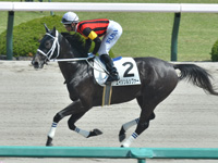 未勝利　キャンター