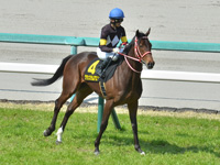 忘れな草賞 （Ｌ）　本馬場入場