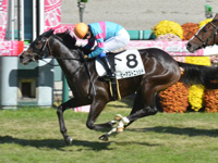 阪神2R　未勝利　ビーアストニッシド