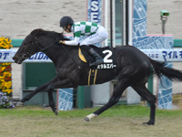 阪神9R　秋明菊賞（1勝クラス）　オタルエバー