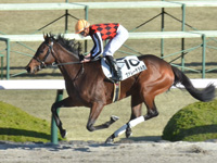 阪神1R　未勝利　ヴァレーデラルナ