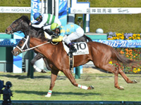 阪神4R　未勝利　デルマグレムリン