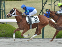 阪神2R　未勝利　ワックスリリカル