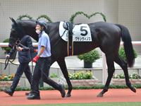 新馬　パドック