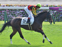 未勝利　本馬場入場