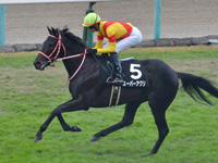 秋明菊賞 （1勝クラス）　キャンター