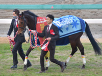 第74回 阪神ジュベナイルフィリーズ （G1）　口取り