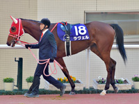 第74回 阪神ジュベナイルフィリーズ （G1）　パドック