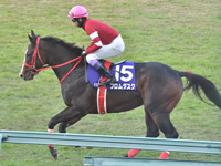 第74回 朝日杯フューチュリティステークス （G1）　本馬場入場