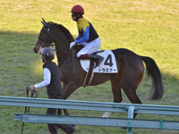 未勝利　本馬場入場