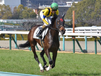 未勝利　キャンター