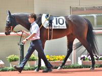 未勝利　パドック