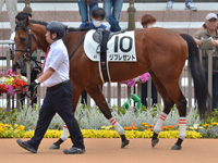 未勝利　パドック