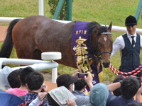 第71回 京都新聞杯 （GII）　口取り