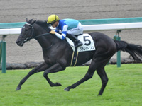 阪神5R 新馬　グランヴィノス