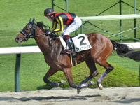 阪神2R 未勝利　ロイガヴェーグル