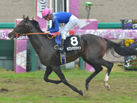 阪神9R　黄菊賞（1勝クラス）　セブンマジシャン