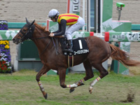 阪神8R　秋明菊賞（1勝）　コーパスクリスティ