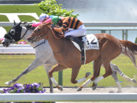 京都4R　未勝利（牝）　ダイリュウホマレ